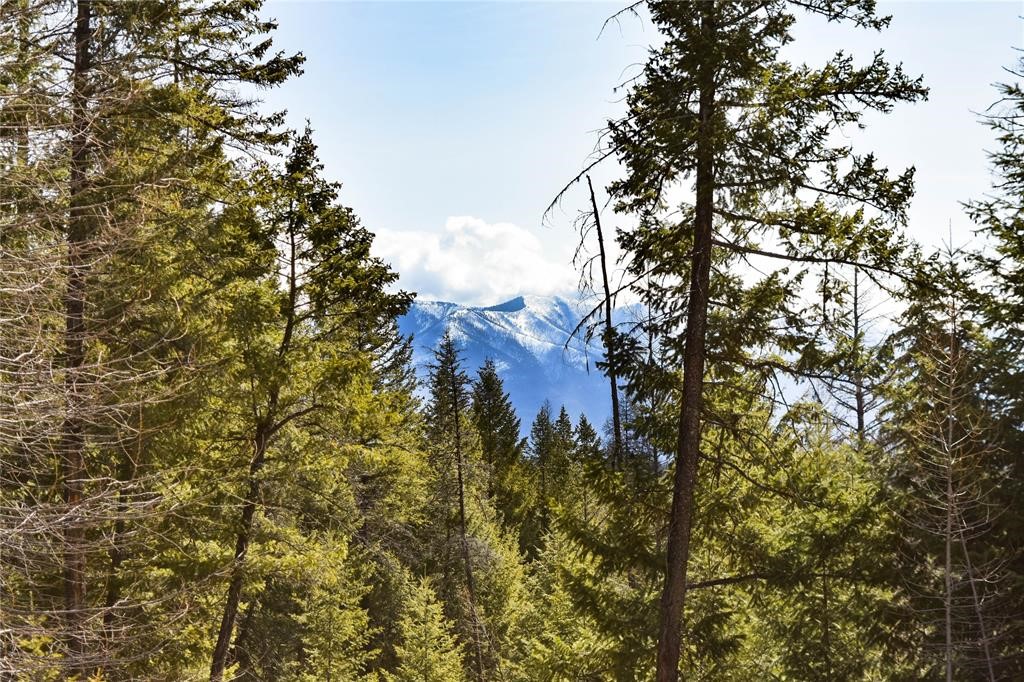Lot 2 Meadow Springs Subdivision