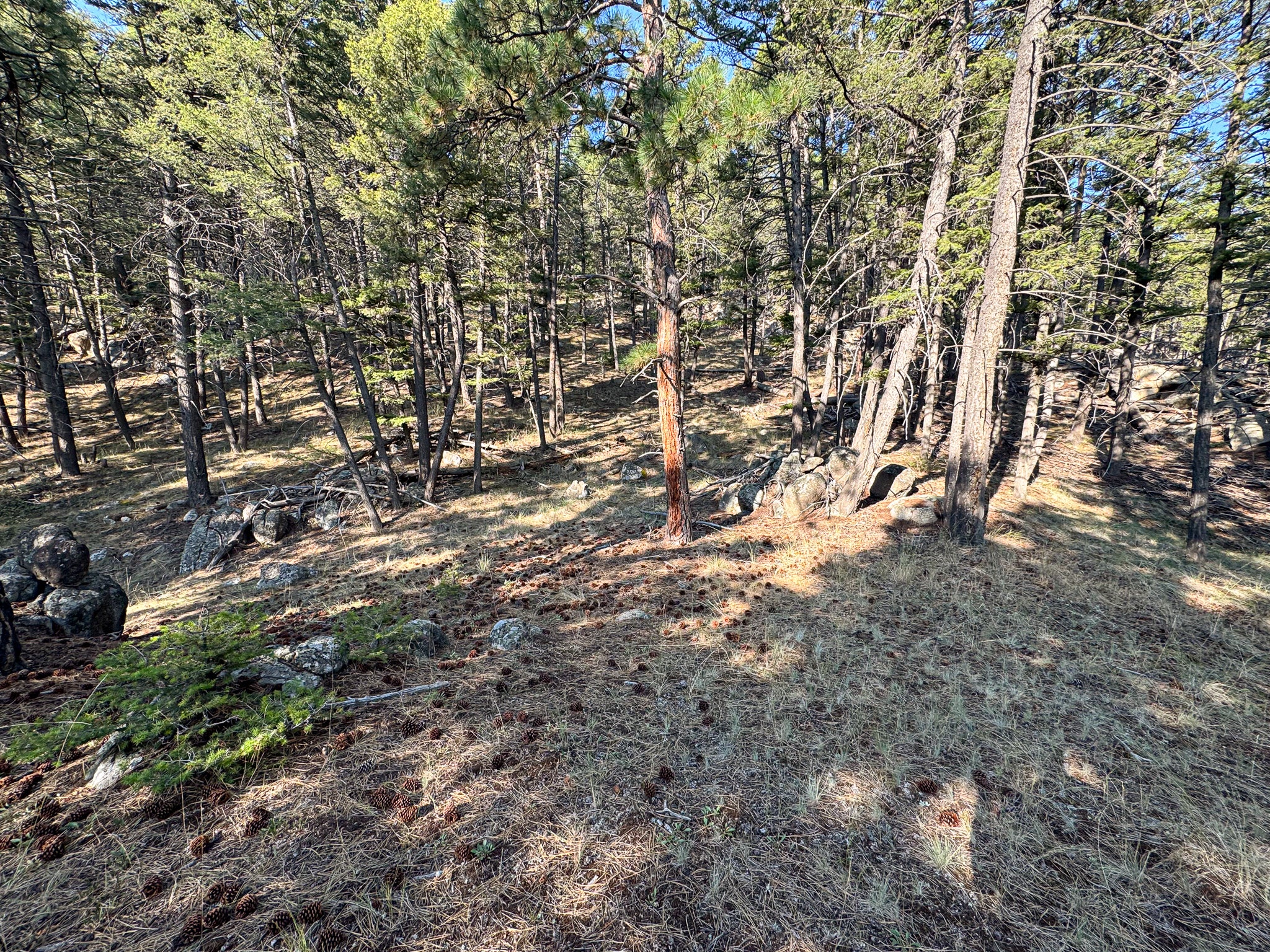 93 Saddle Mountain Drive