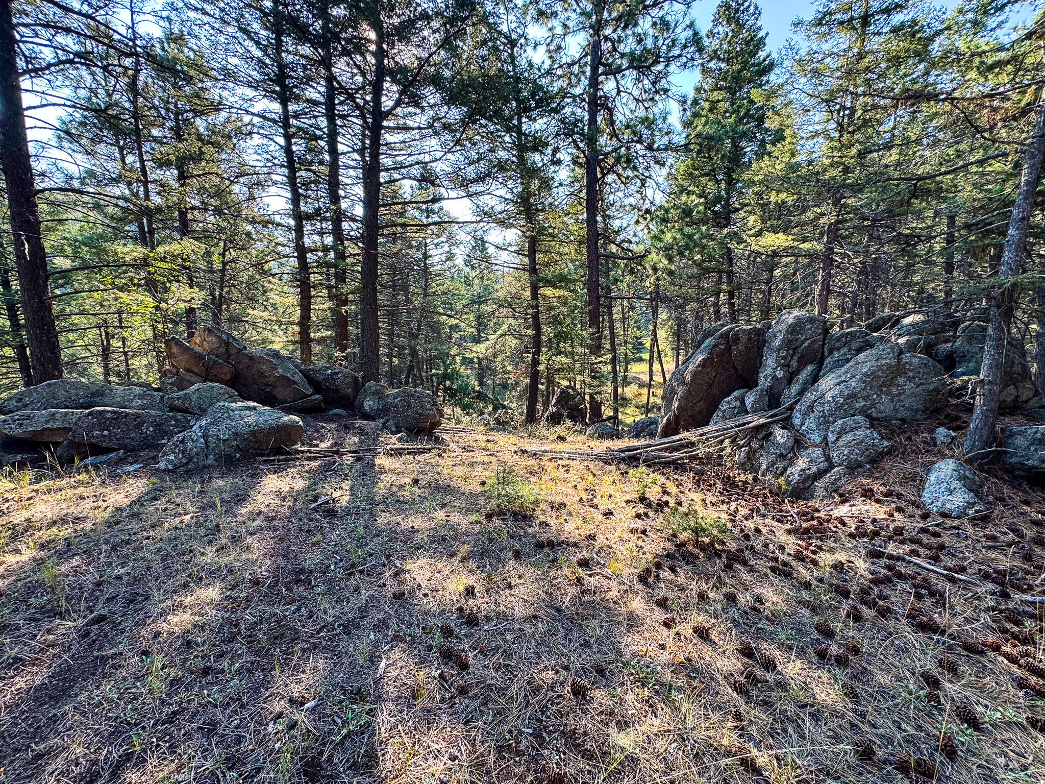 93 Saddle Mountain Drive