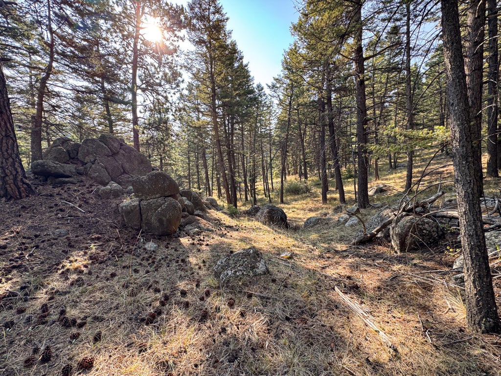 Photo of 93 Saddle Mountain Drive, Clancy, MT 59634 (MLS # 30077679)