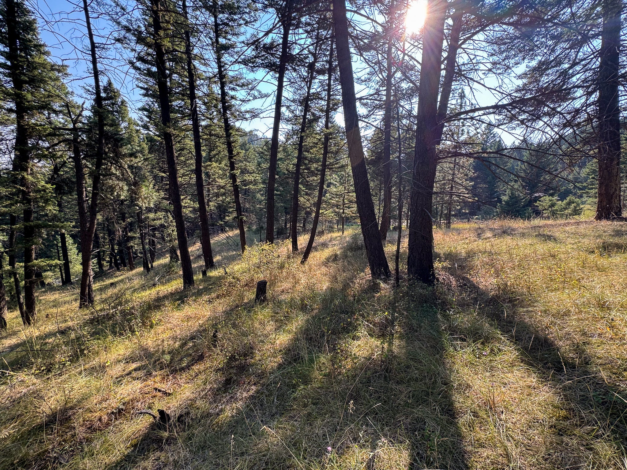 93 Saddle Mountain Drive