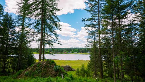 Tiny photo for 56 Wagon Wheel Road, Whitefish, MT 59937 (MLS # 30072505)