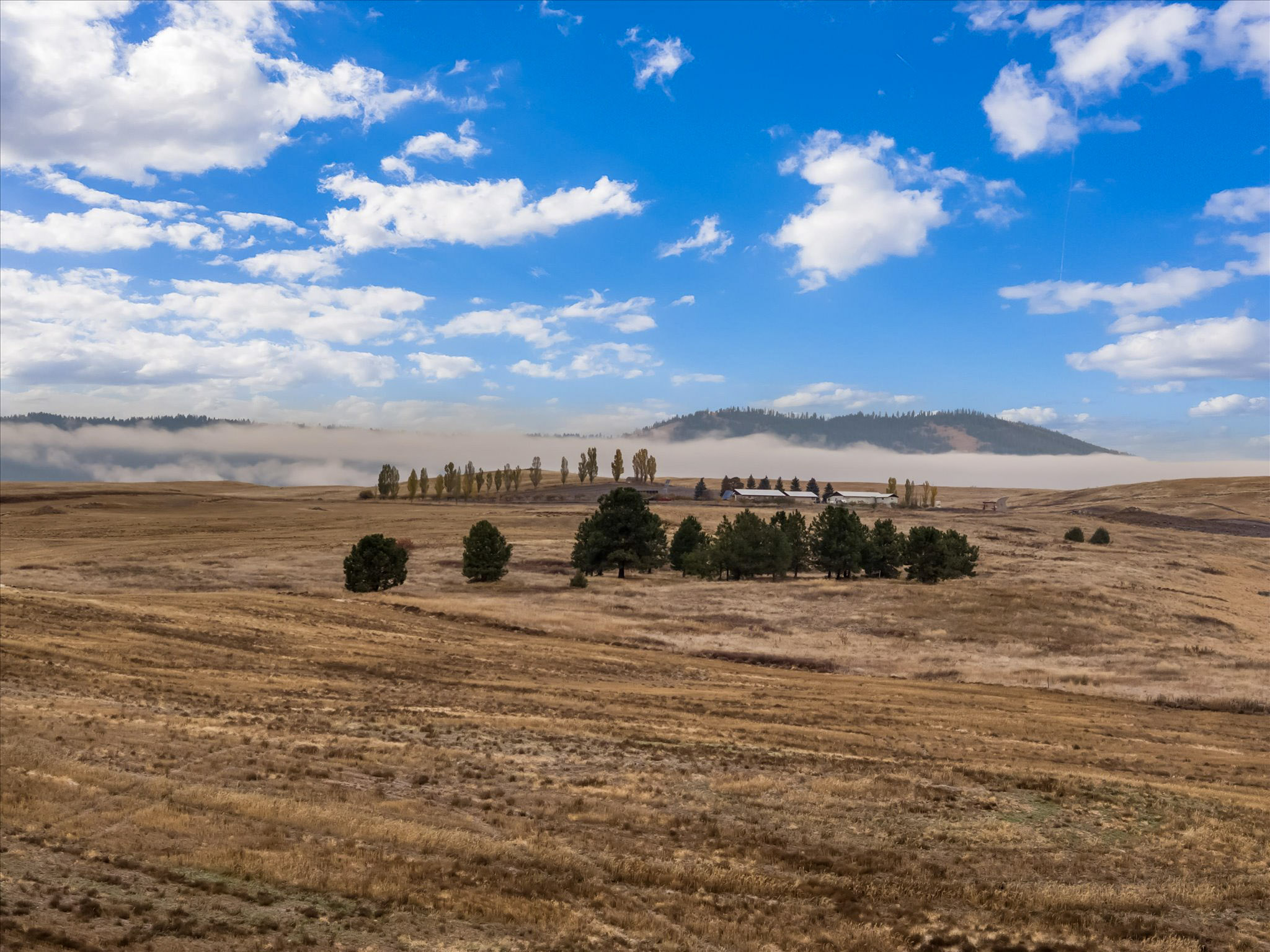 NHN Lot 2 Arrowleaf Trail