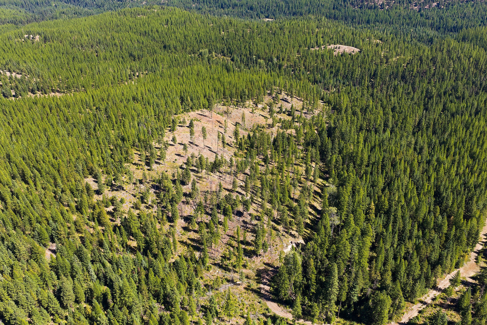 NHN McGinnis Meadows - Fishtrap Road Section 9