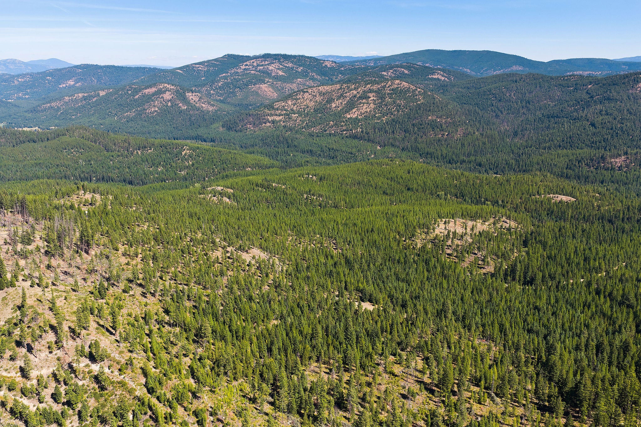 NHN McGinnis Meadows - Fishtrap Road Section 9