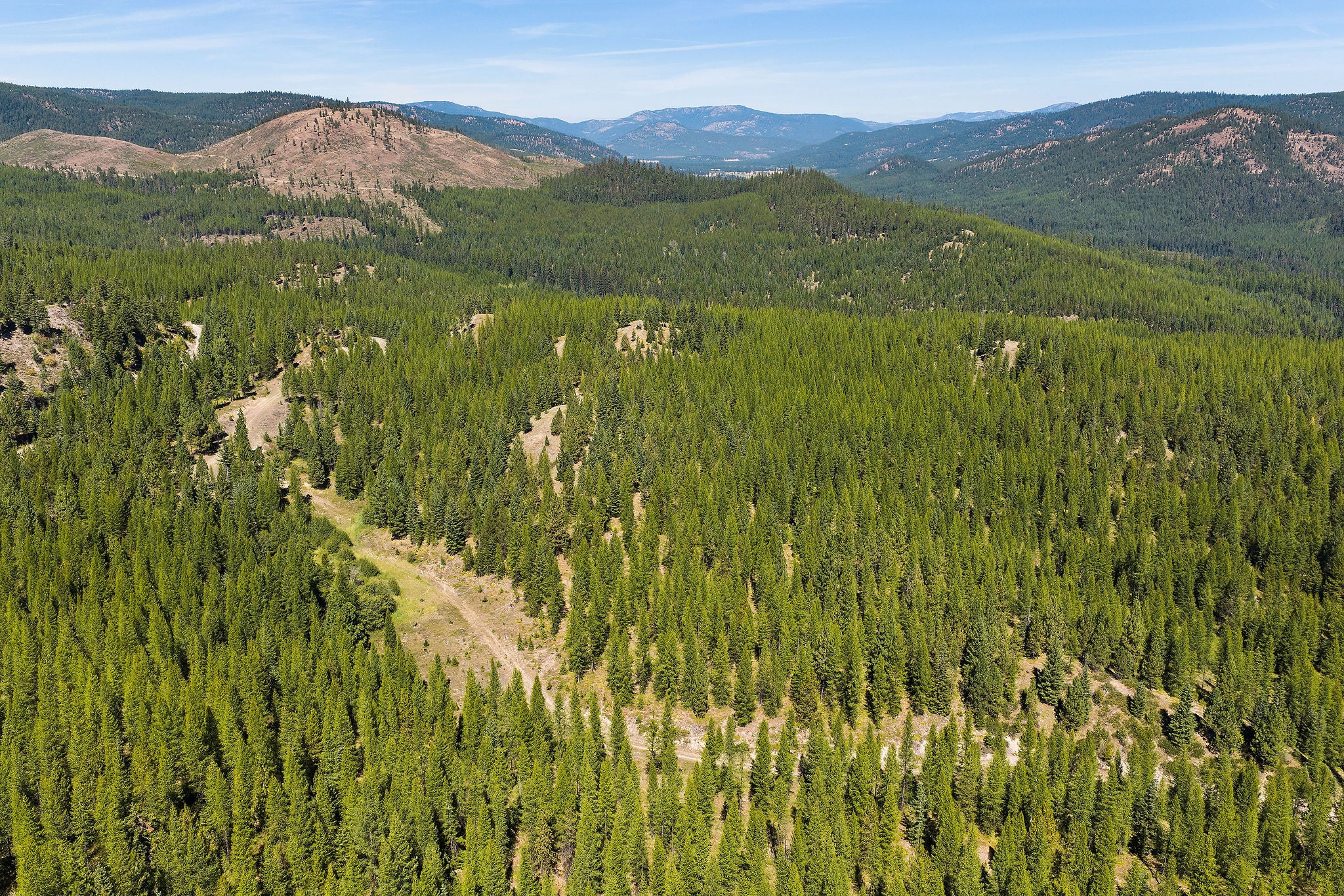 NHN McGinnis Meadows - Fishtrap Road Section 9
