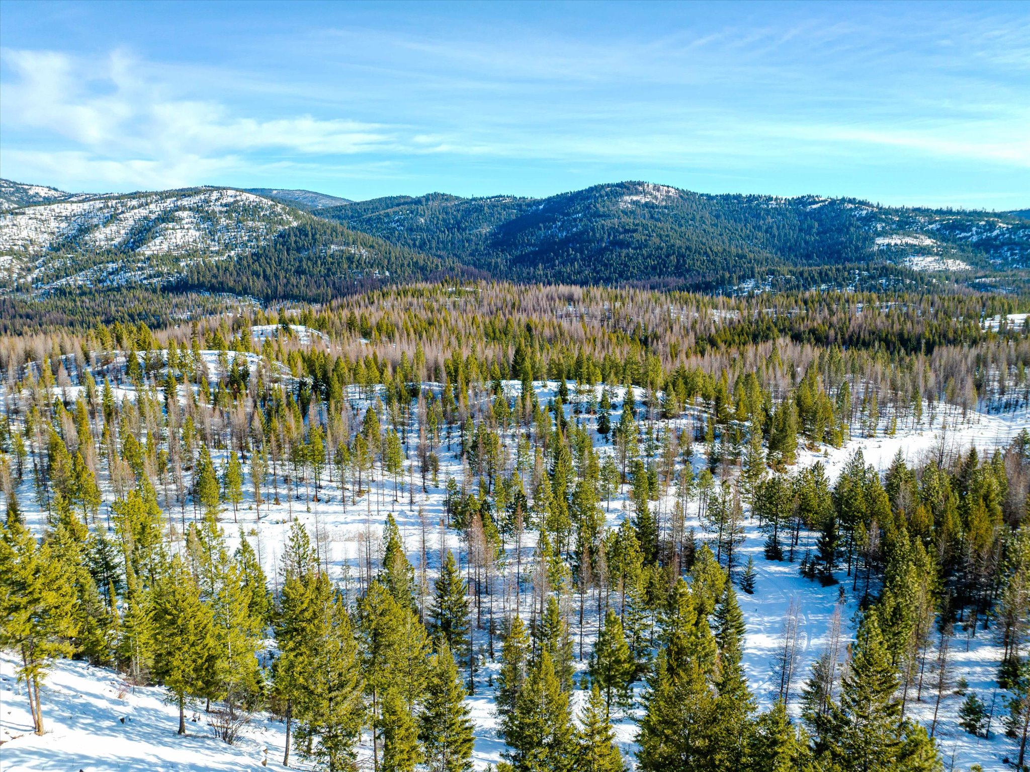NHN McGinnis Meadows - Fishtrap Road Section 9