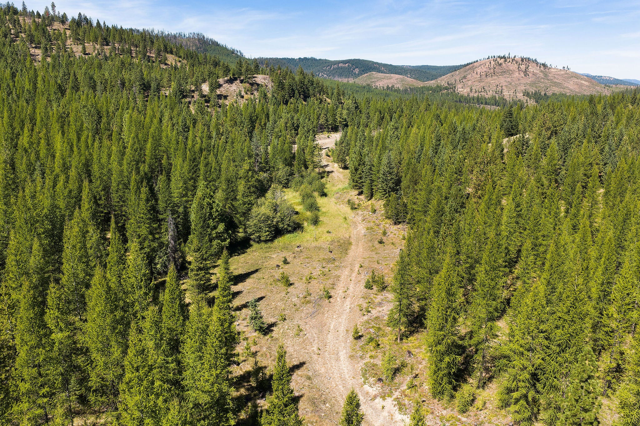 NHN McGinnis Meadows - Fishtrap Road Section 9