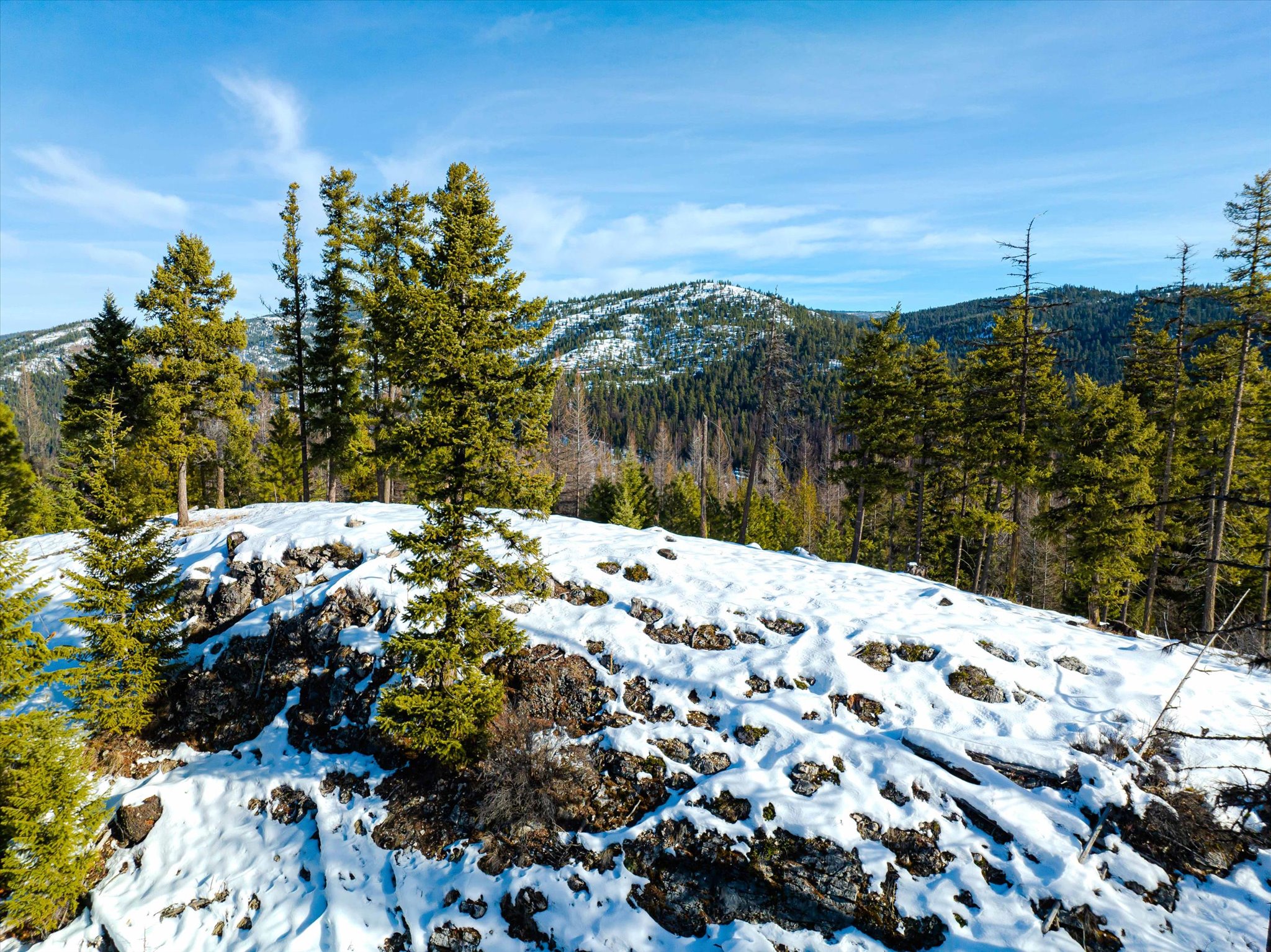 NHN McGinnis Meadows - Fishtrap Road Section 9