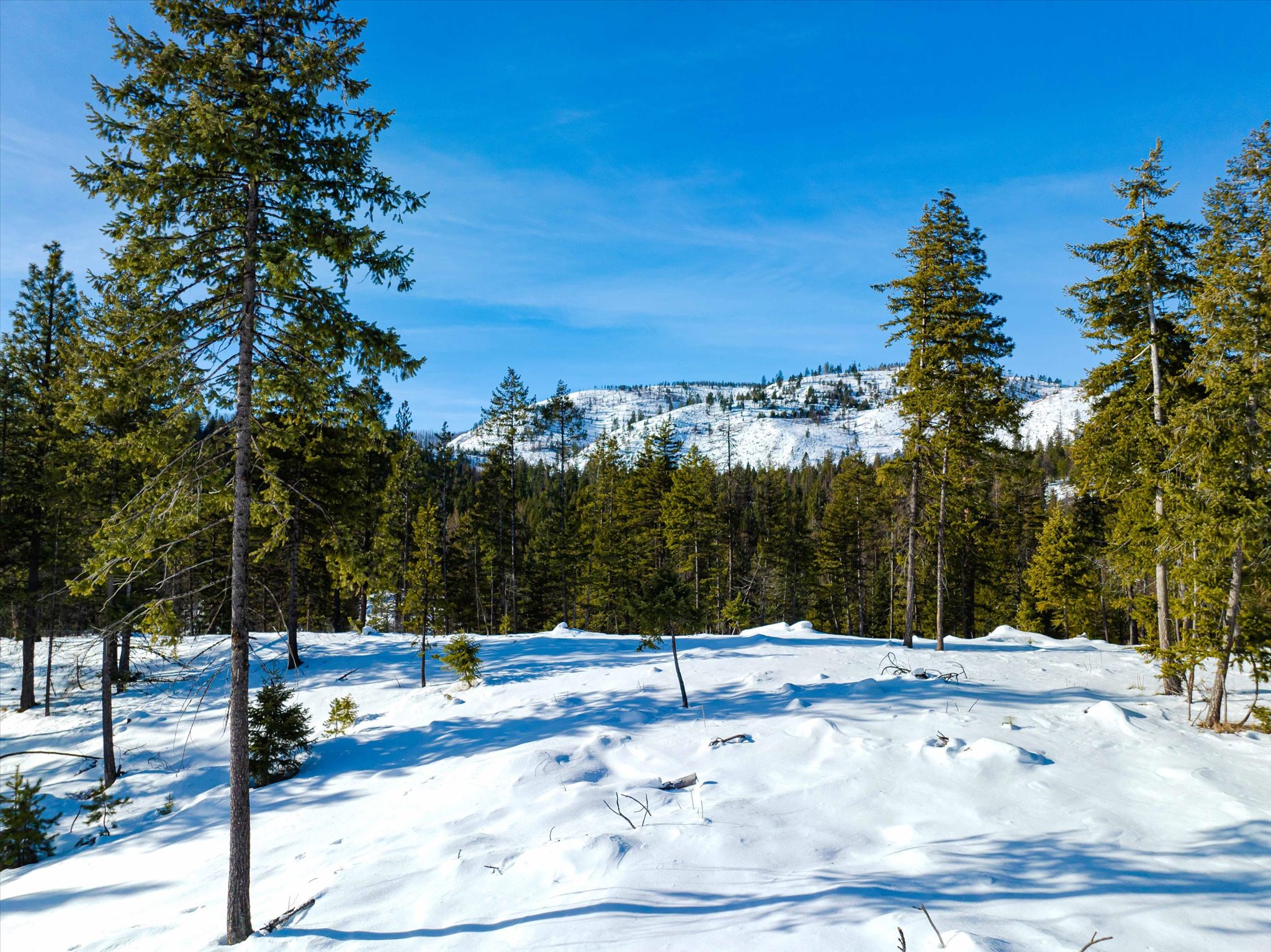 NHN McGinnis Meadows - Fishtrap Road Section 9