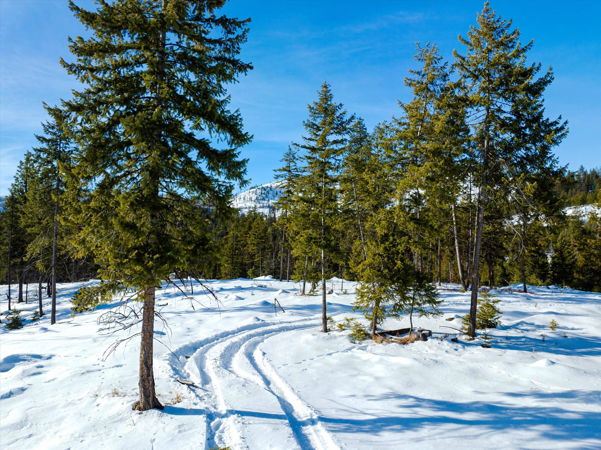 NHN McGinnis Meadows - Fishtrap Road Section 9