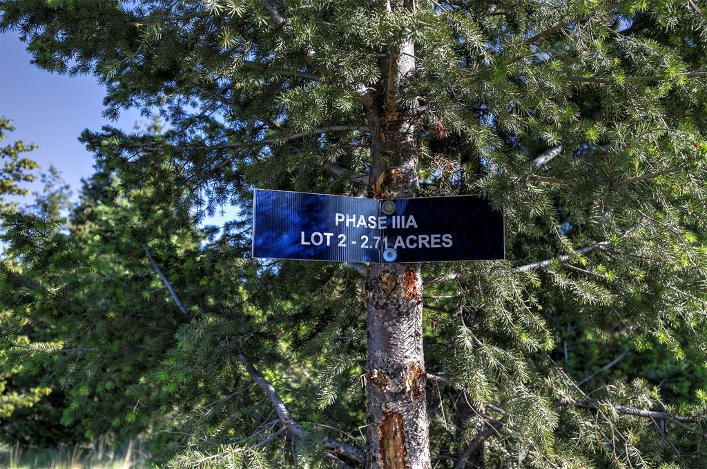 Photo of NHN Lot 2 Phase 3A Dolus Lakes Road #Lot 2, Deer Lodge, MT 59722 (MLS # 30069492)