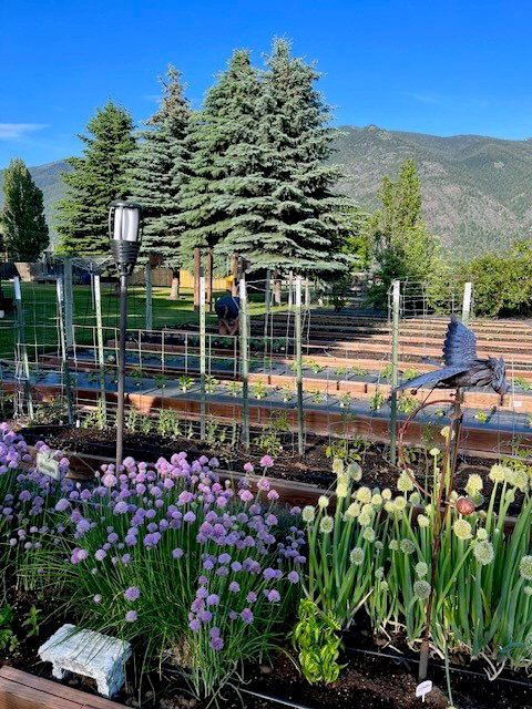 Tiny photo for 556 Windy Acres Drive, Columbia Falls, MT 59912 (MLS # 30057071)