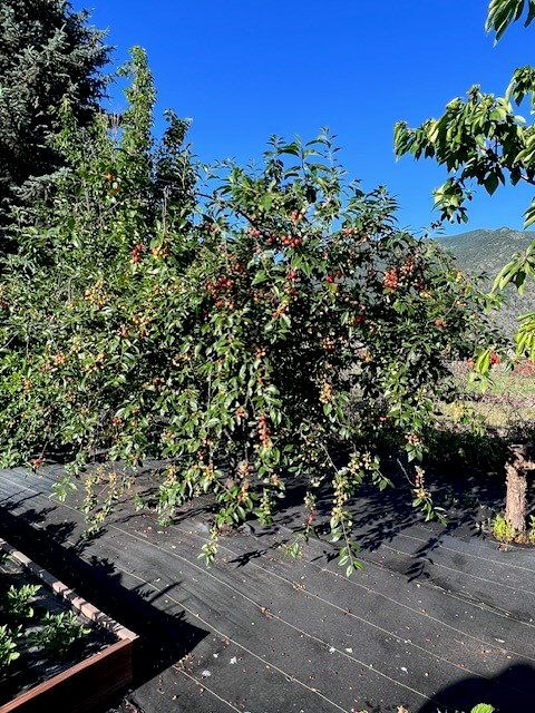 Tiny photo for 556 Windy Acres Drive, Columbia Falls, MT 59912 (MLS # 30057071)