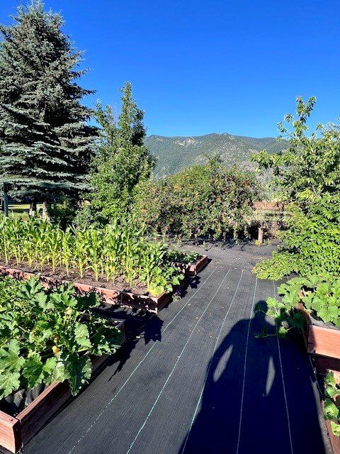 Tiny photo for 556 Windy Acres Drive, Columbia Falls, MT 59912 (MLS # 30057071)