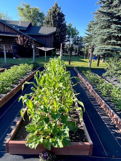 Tiny photo for 556 Windy Acres Drive, Columbia Falls, MT 59912 (MLS # 30057071)