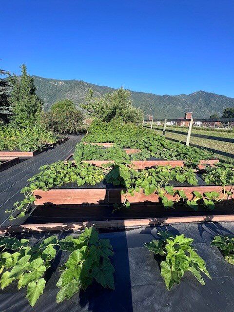 Tiny photo for 556 Windy Acres Drive, Columbia Falls, MT 59912 (MLS # 30057071)