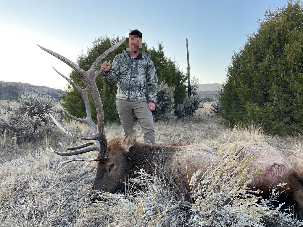 Photo of 1847 Maudlow Road, Belgrade, MT 59714 (MLS # 30069621)