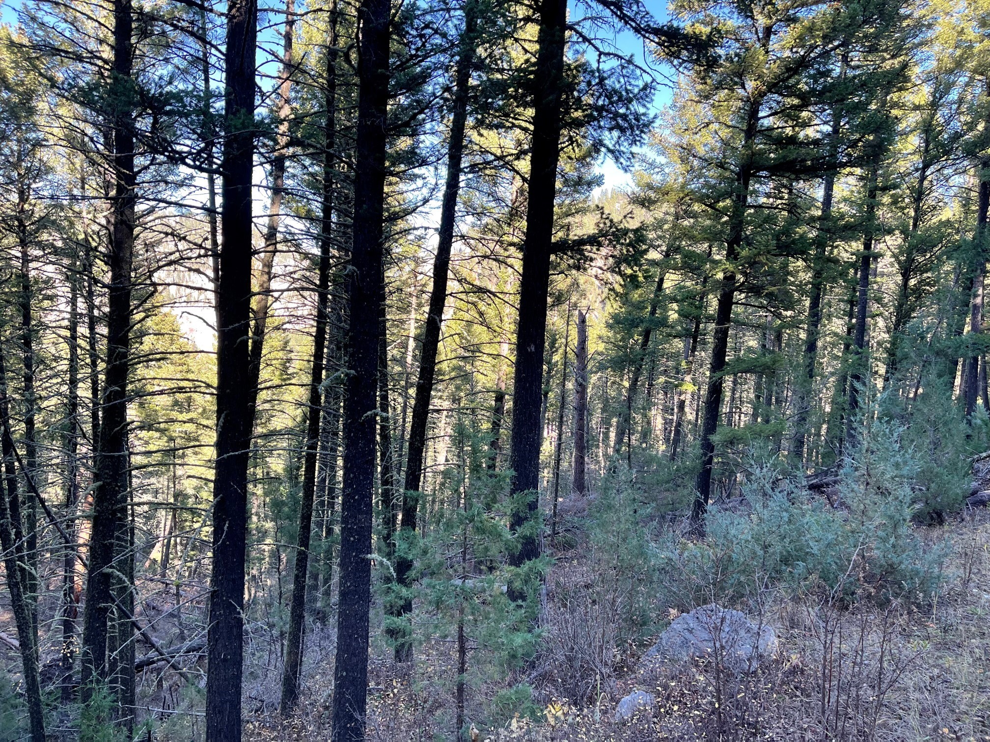 NHN Two Creeks Road