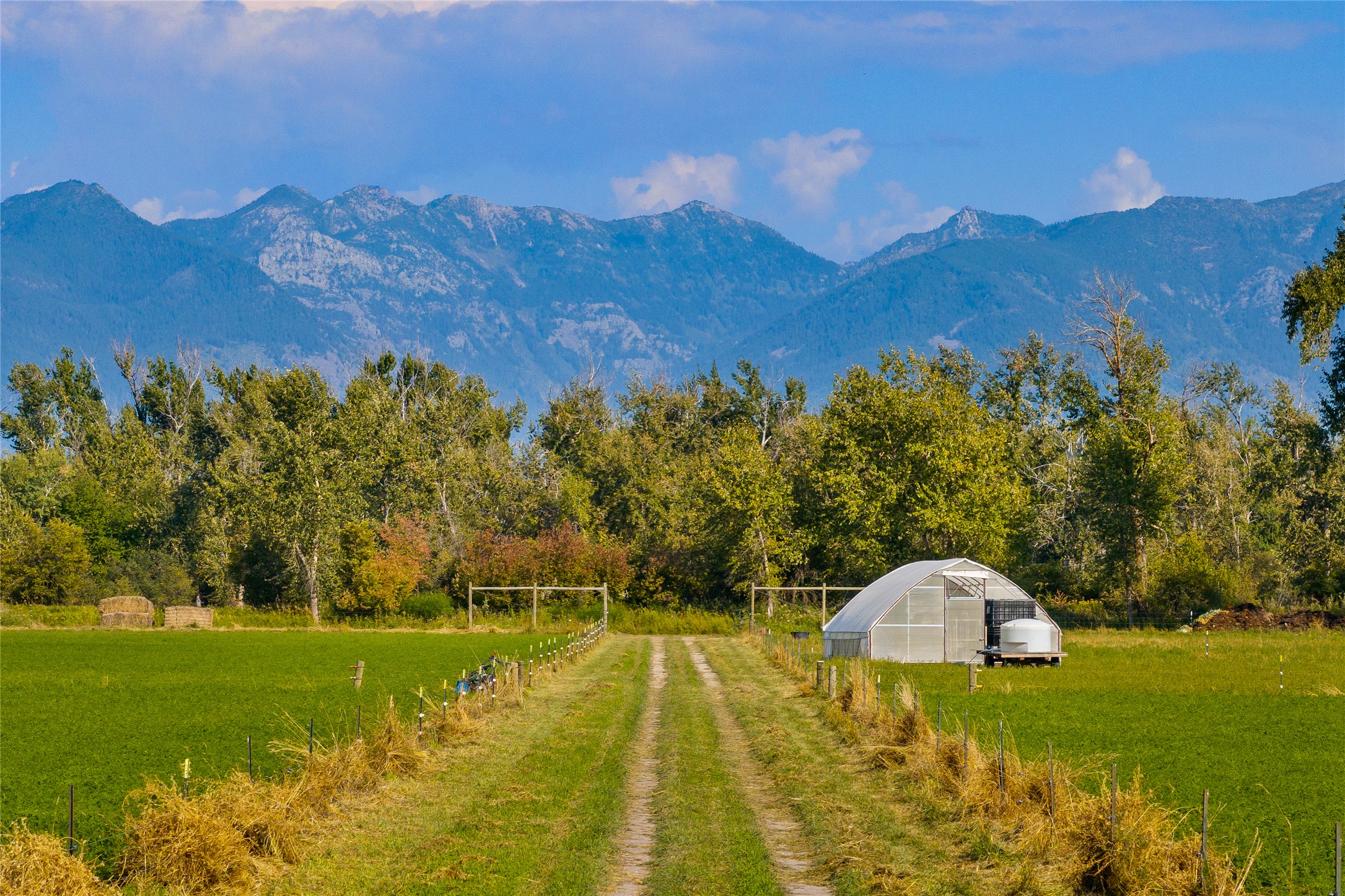 3943 Lower Valley Road