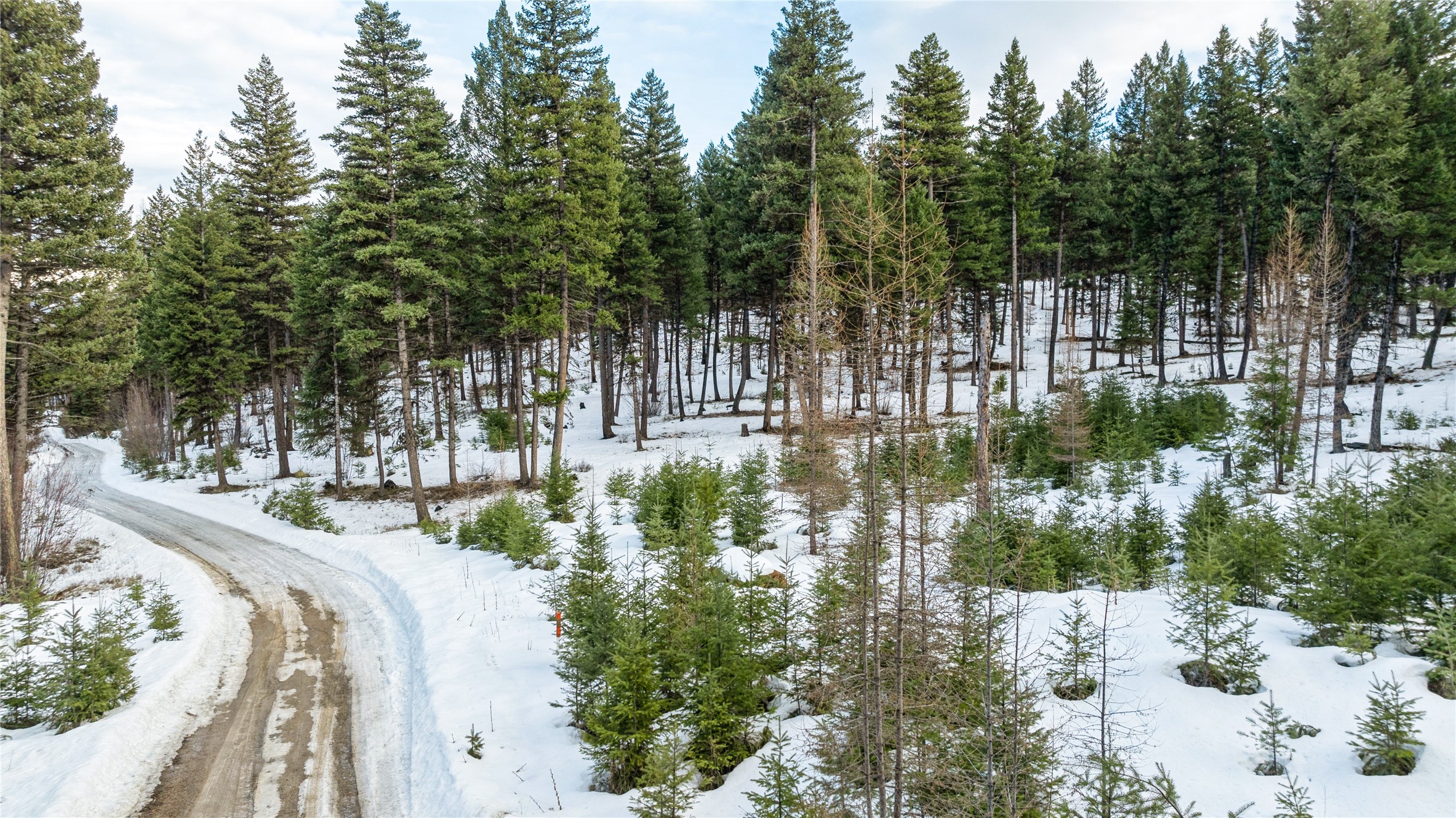 161 Coyote Ridge Pass Road