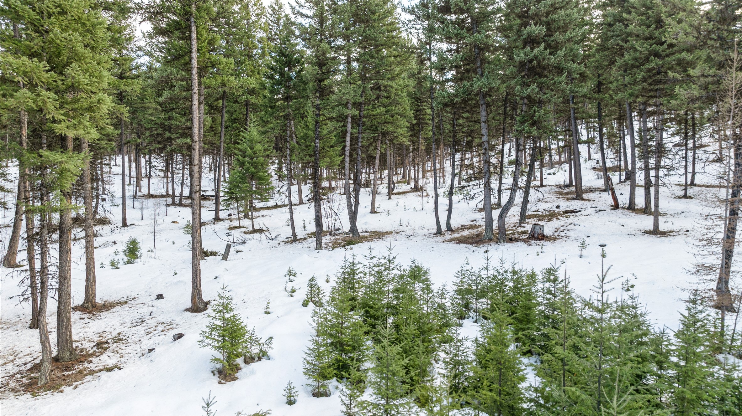 161 Coyote Ridge Pass Road