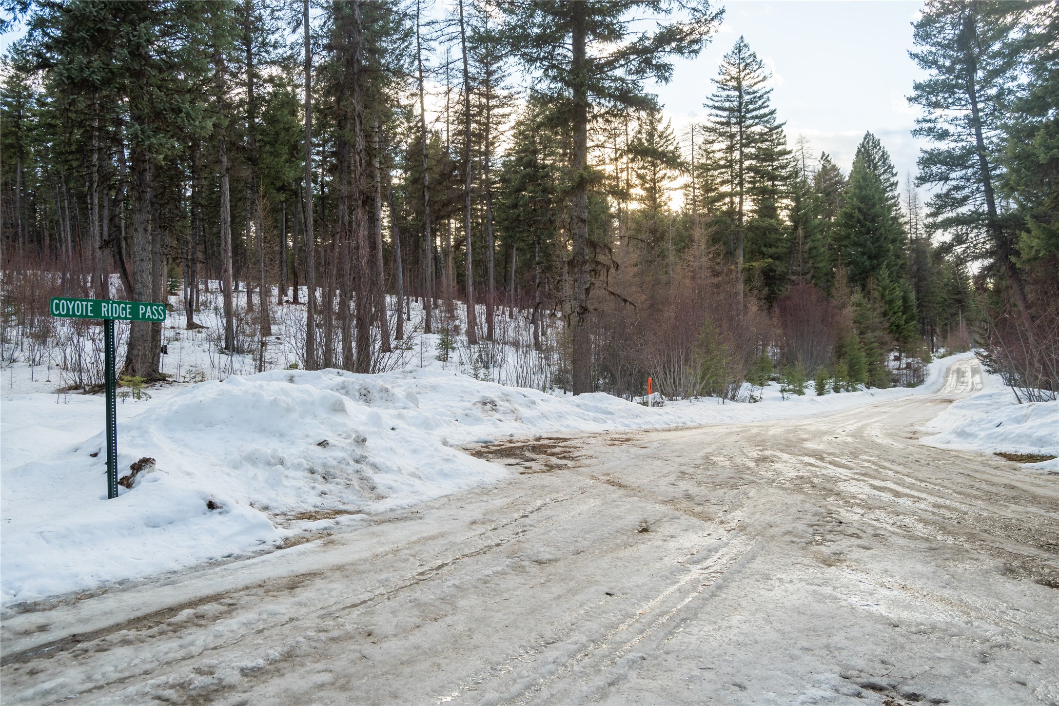 161 Coyote Ridge Pass Road