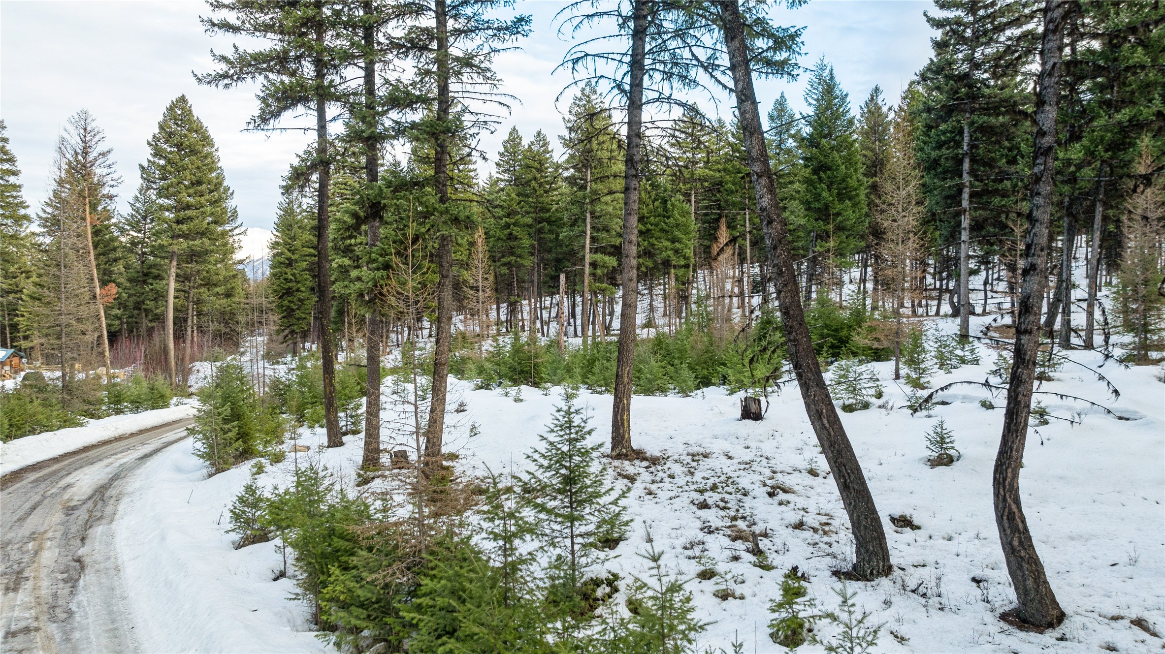 161 Coyote Ridge Pass Road