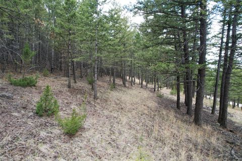 Tiny photo for 291 S Hills Road, Clancy, MT 59634 (MLS # 30070508)