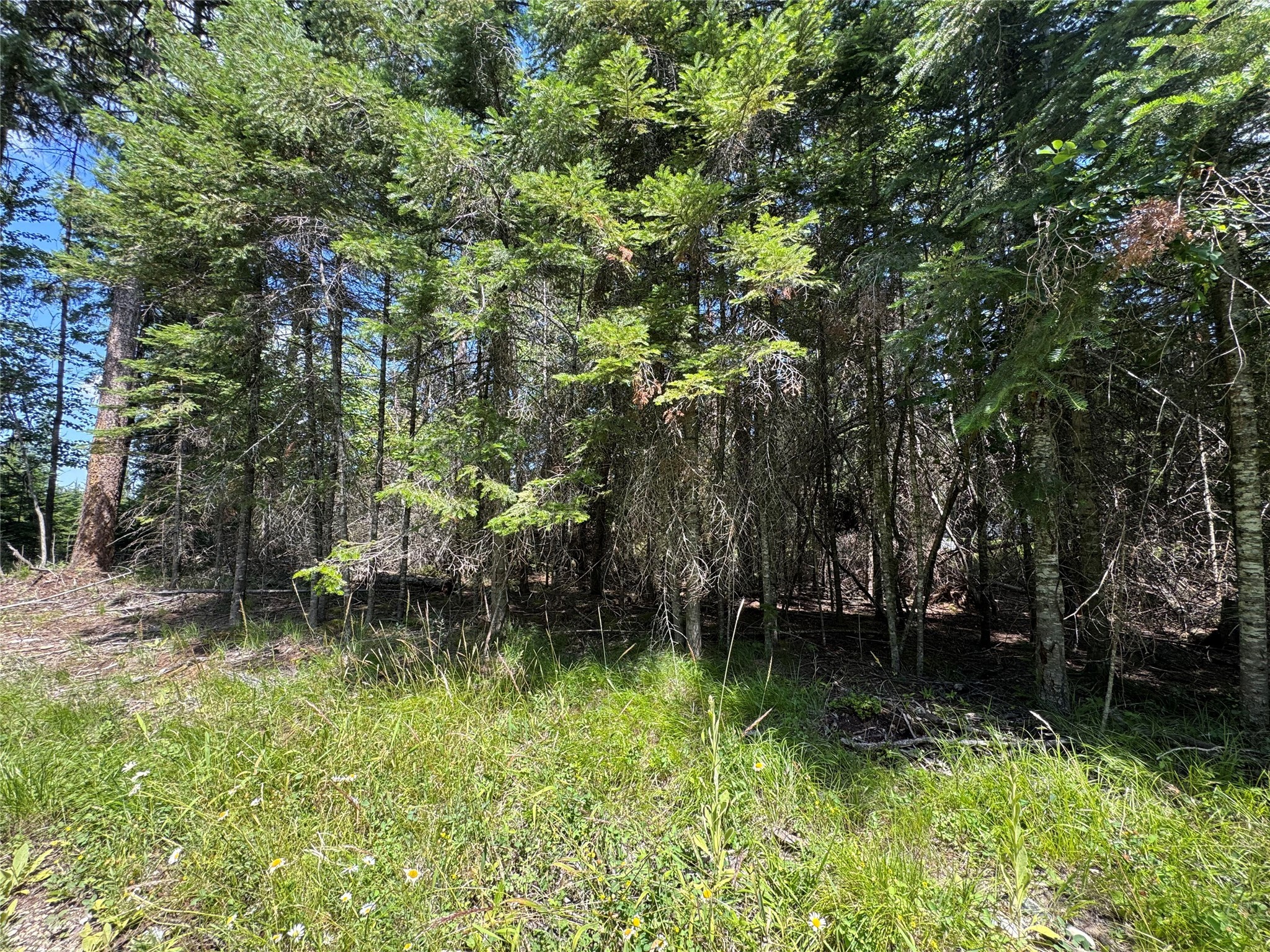 13643 Sundance Trail