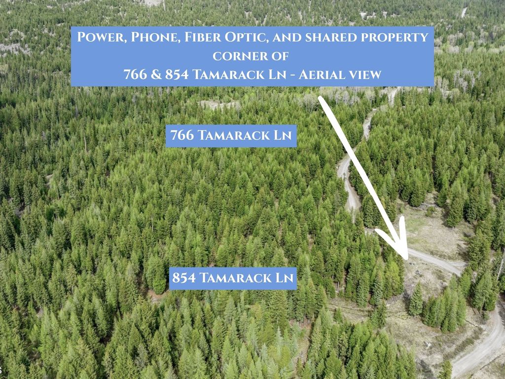 Photo of 766 and 854 Tamarack Lane, Rexford, MT 59930 (MLS # 30067928)