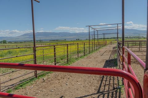 Tiny photo for 51 Whitehorse Road, Townsend, MT 59644 (MLS # 30069503)