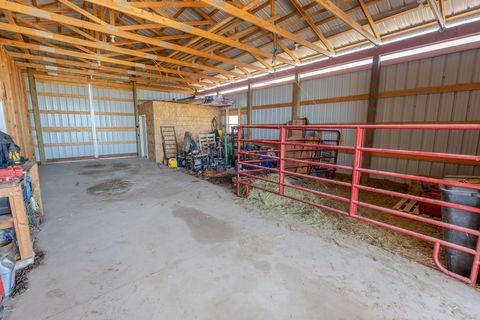 Tiny photo for 51 Whitehorse Road, Townsend, MT 59644 (MLS # 30069503)