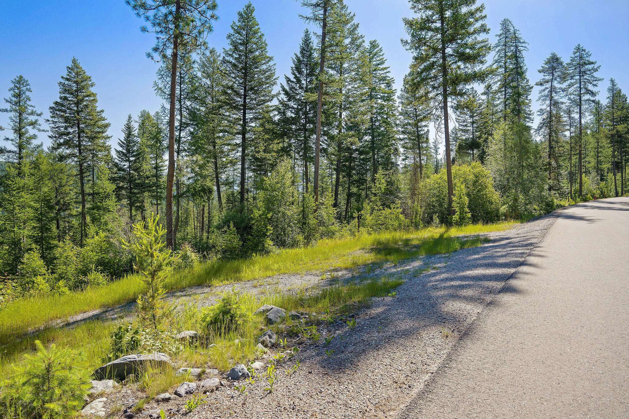 385 Saddlehorn Trail