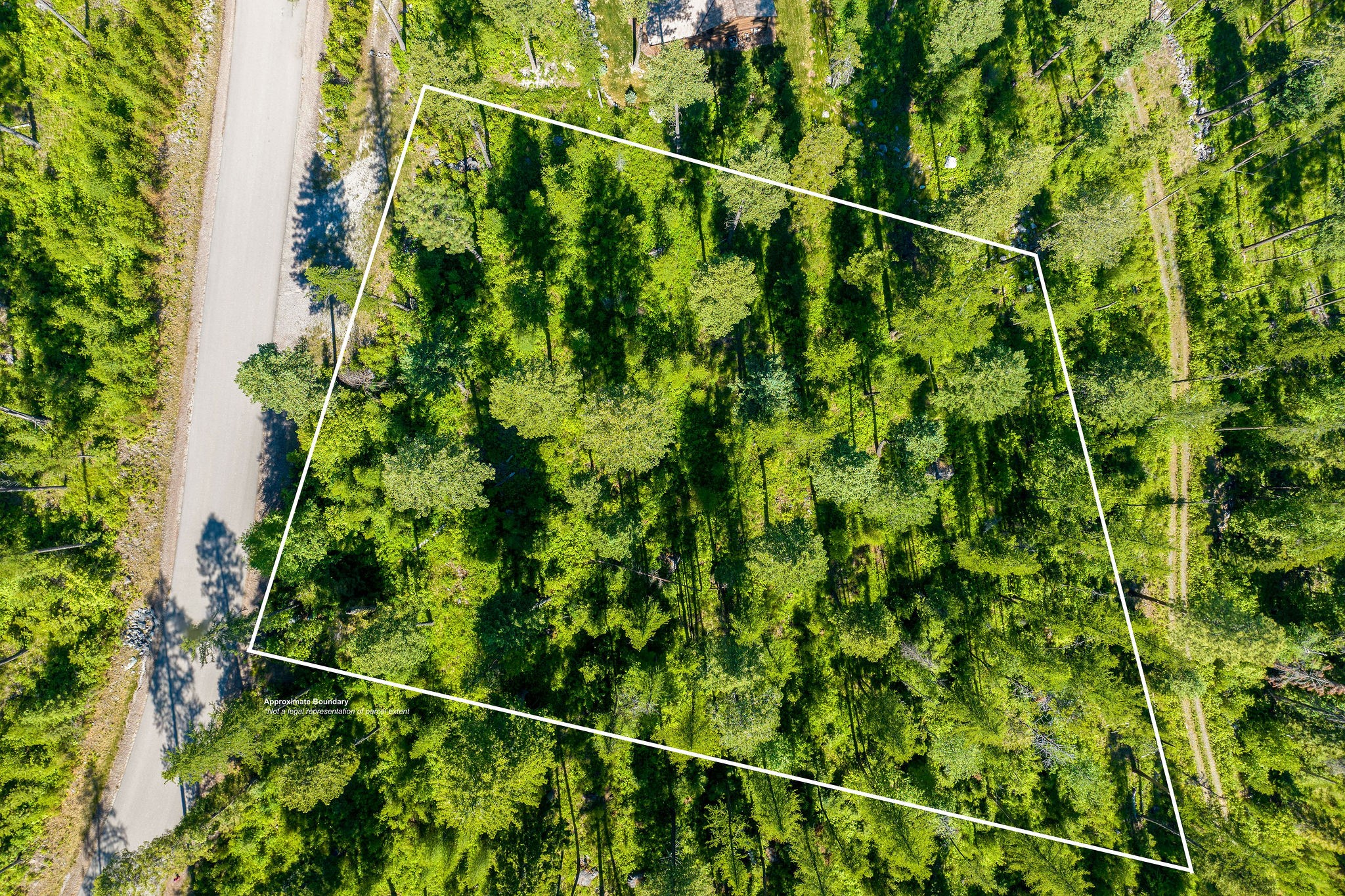 385 Saddlehorn Trail