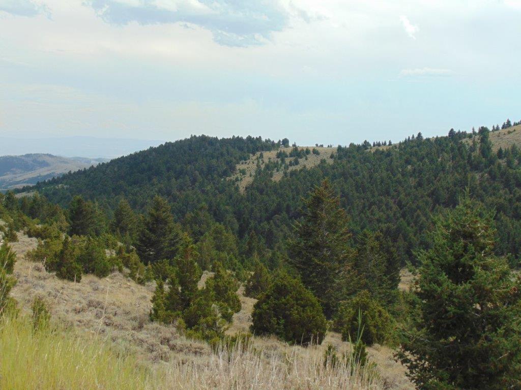 TBD West Fork Indian Creek Road
