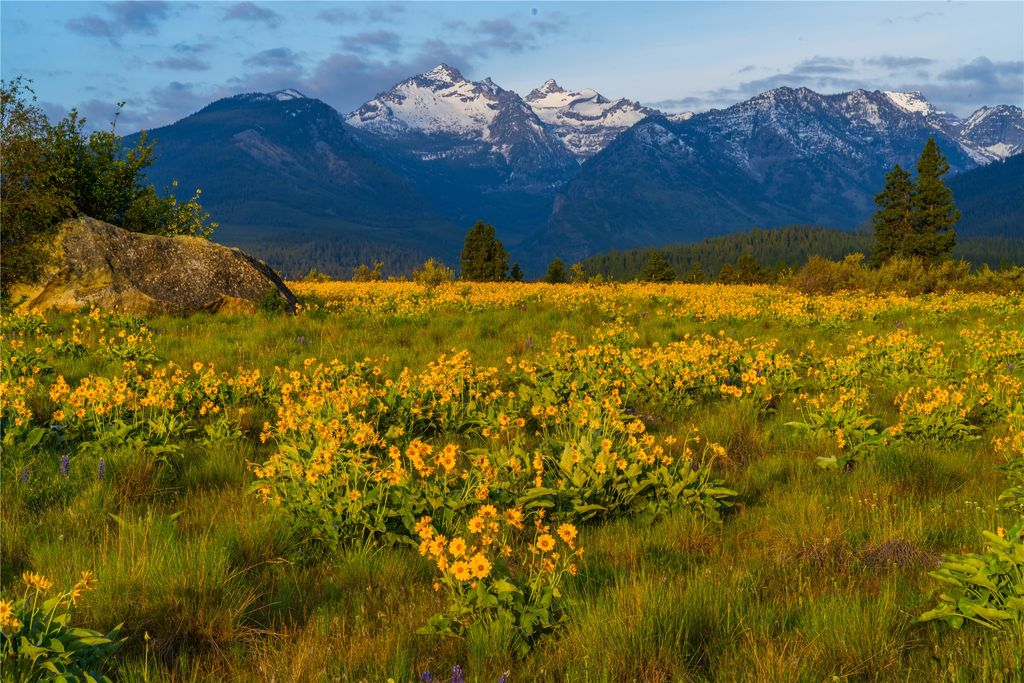 Photo of 2519 Old Darby Road, Darby, MT 59829 (MLS # 30067349)