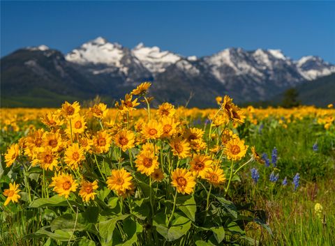 2519 Old Darby Road Darby MT 59829