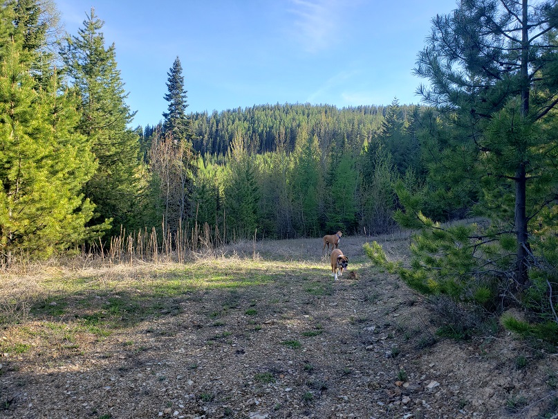 Tract 2 Nine Mile Road