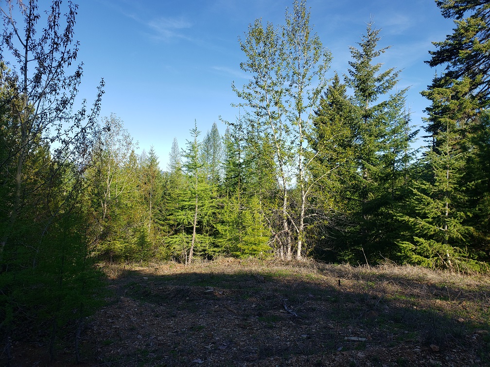 Tract 2 Nine Mile Road