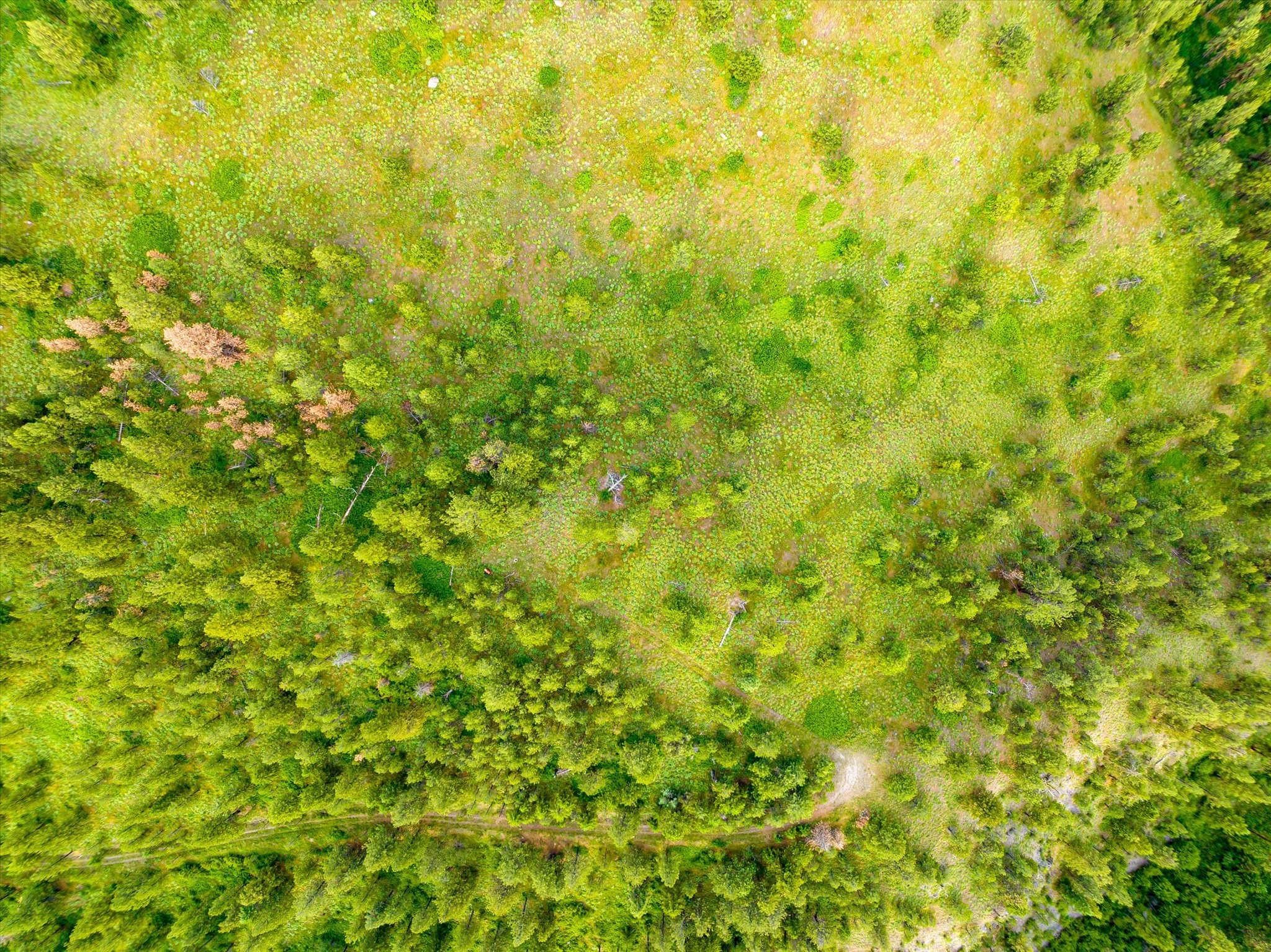 Polson, Montana 59860, United States, ,Land,Pending,54732