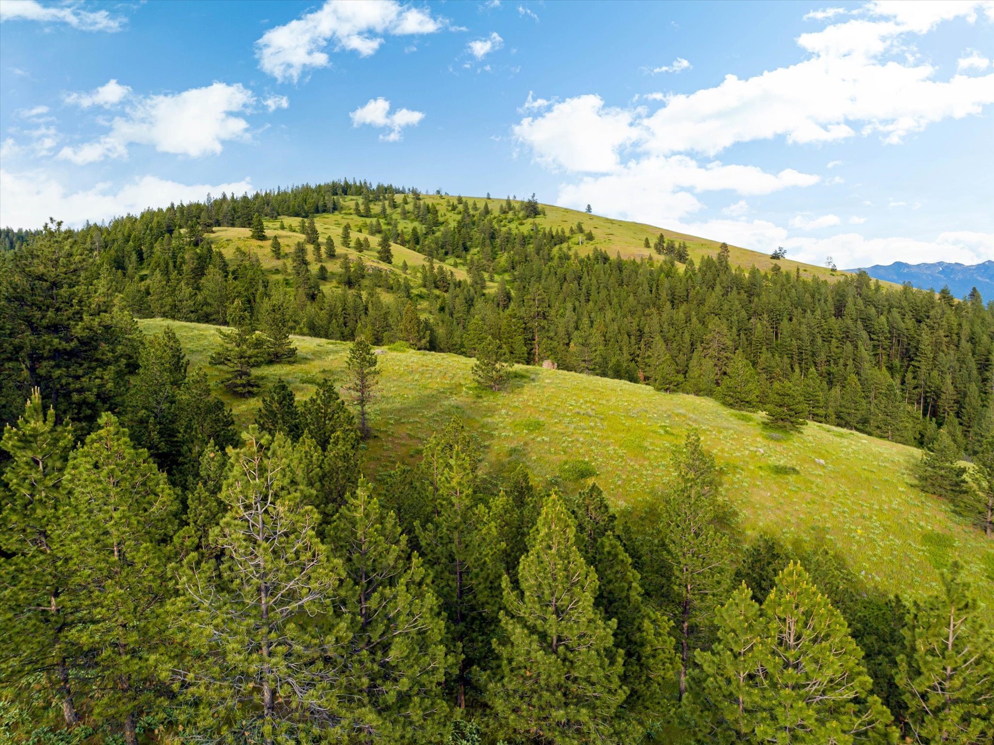 Polson, Montana 59860, United States, ,Land,Pending,54732