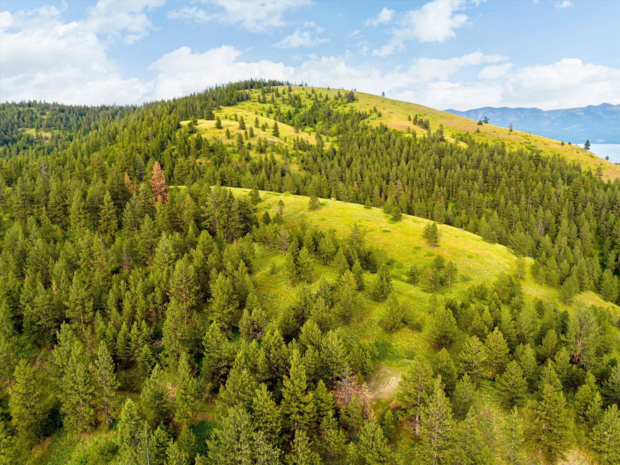 Polson, Montana 59860, United States, ,Land,Pending,54732