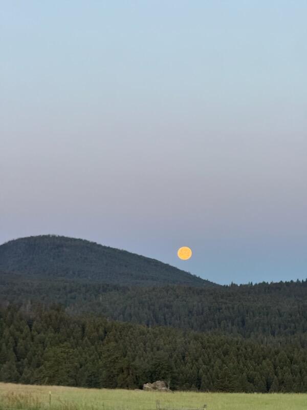 Clancy, Montana 59634, United States, 3 Bedrooms Bedrooms, ,3 BathroomsBathrooms,Residential,Pending,215813