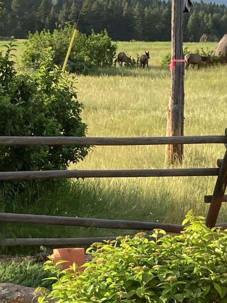 Clancy, Montana 59634, United States, 3 Bedrooms Bedrooms, ,3 BathroomsBathrooms,Residential,Pending,215813