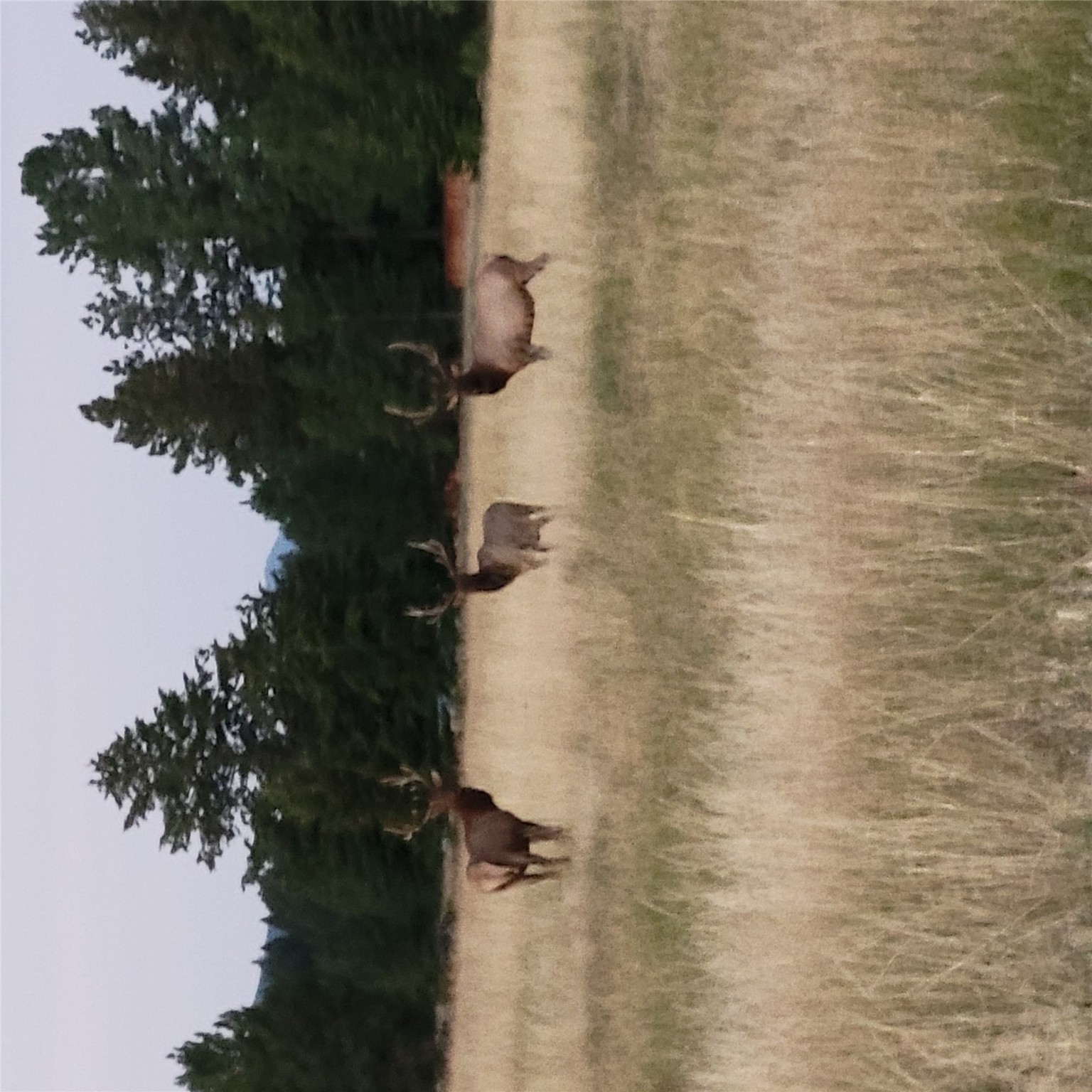 Clancy, Montana 59634, United States, 3 Bedrooms Bedrooms, ,3 BathroomsBathrooms,Residential,Pending,215813