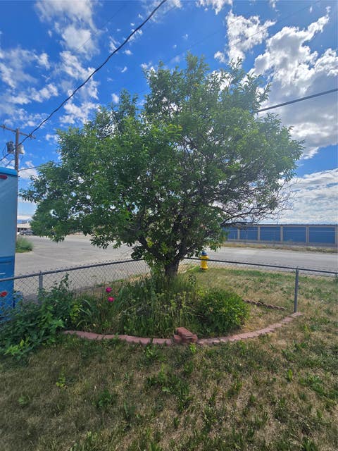 Tiny photo for 2995 Prospect Avenue #15, Helena, MT 59601 (MLS # 30073563)