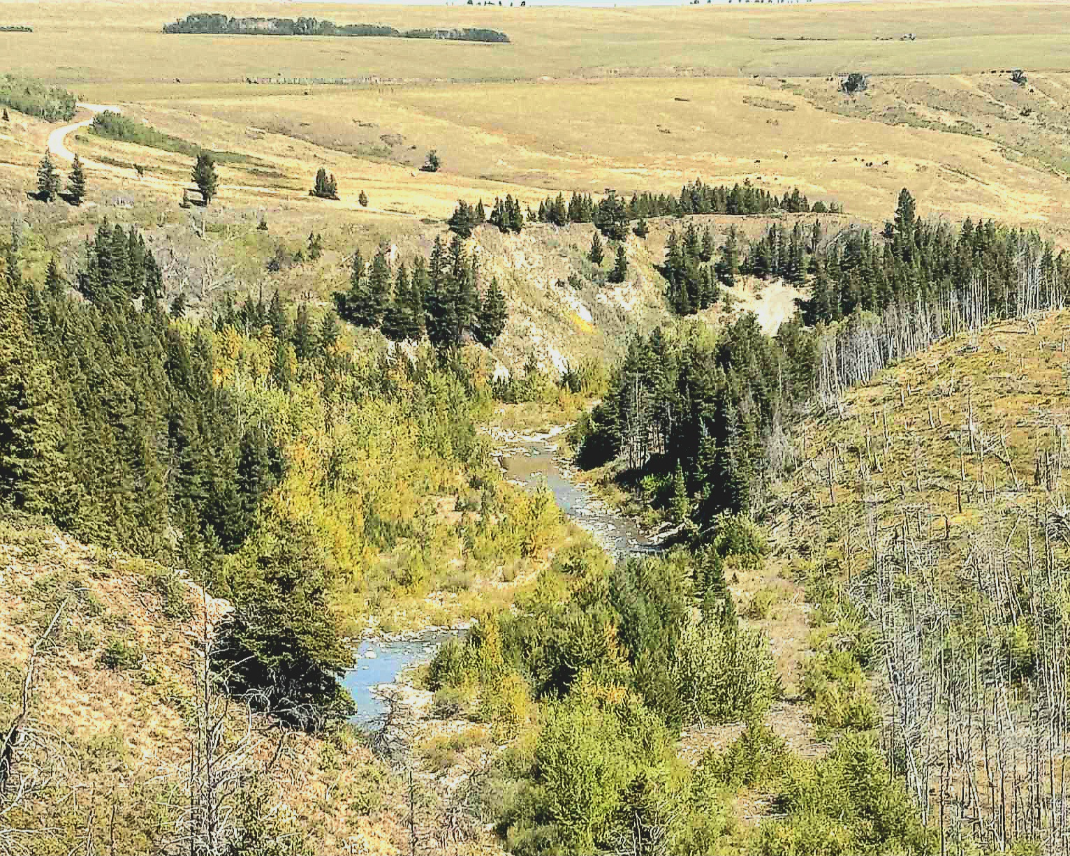 NKN Heart Butte Cutoff