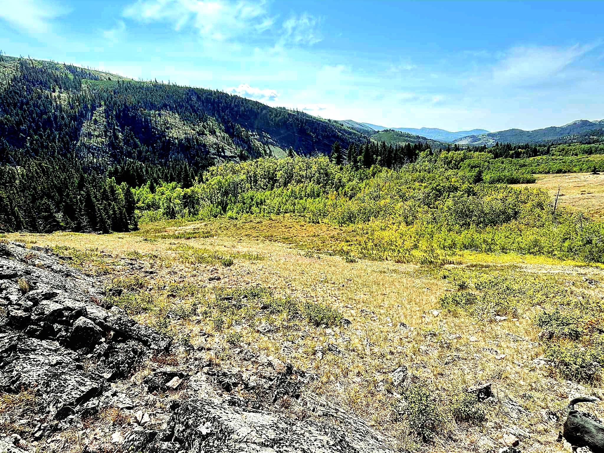 NKN Heart Butte Cutoff
