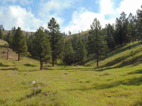 27235 Lazy Springs Road Clinton MT 59825